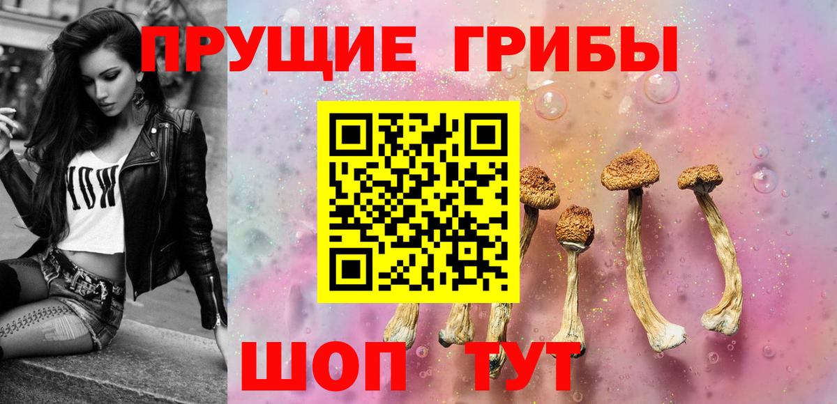 Псилоцибиновые грибы MAGIC MUSHROOMS  Вход с VPN  Кольчугино 