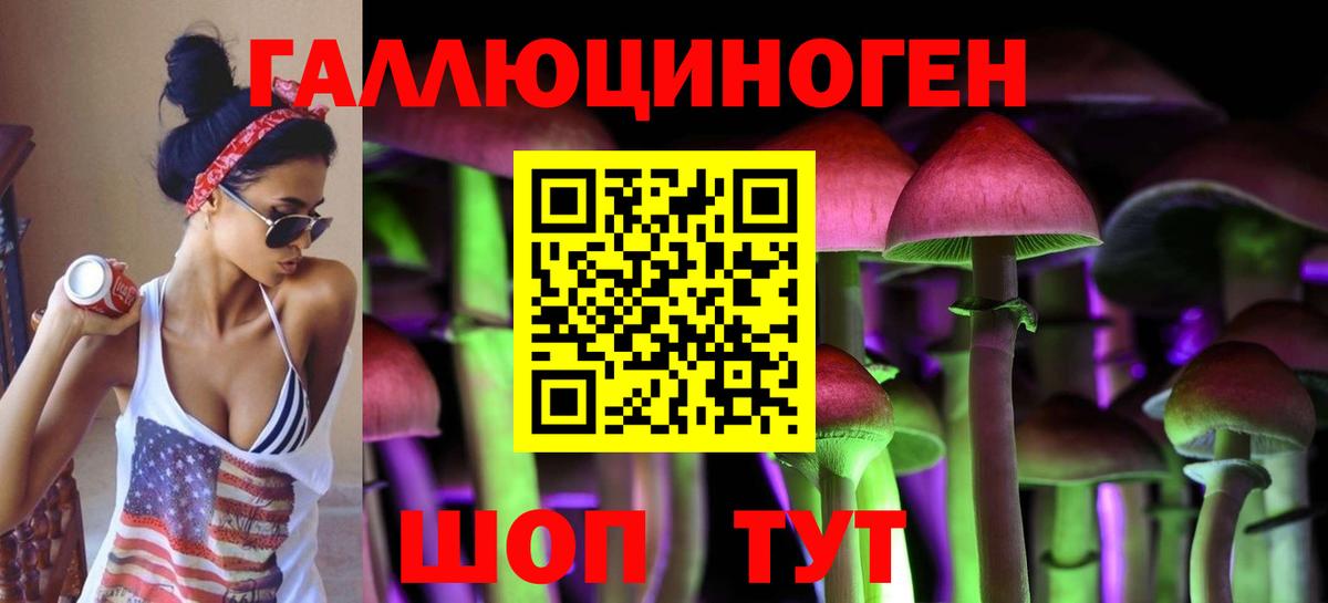 Галлюциногенные грибы Cubensis Кольчугино